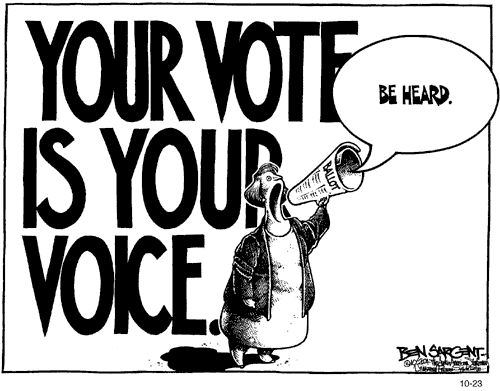 your vote is your voice