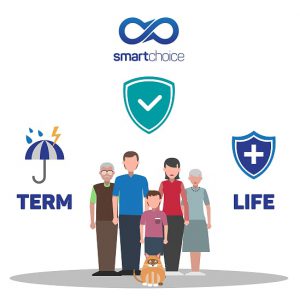 term life vs life insurance