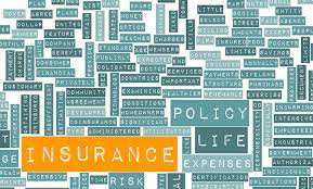 Insurance Terms and What They Mean