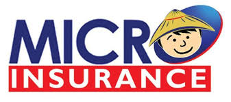 Microinsurance for Low-Income and Informal Sector Consumers